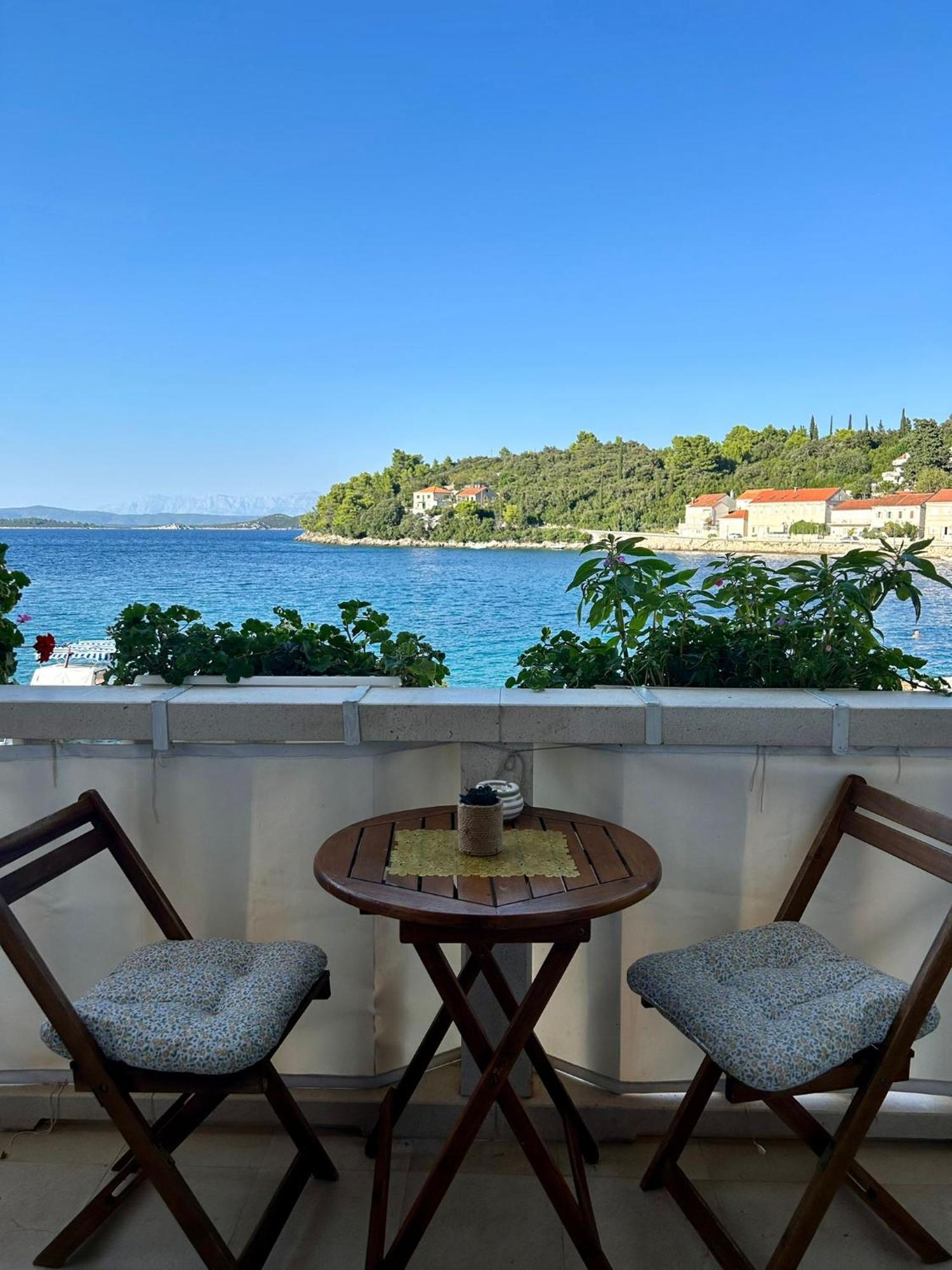Apartma Korta Racisce
