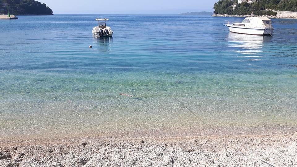 Apartma Korta